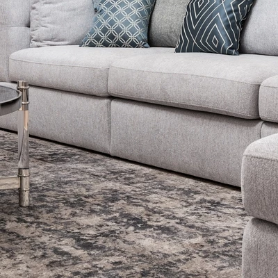 Living room with carpet