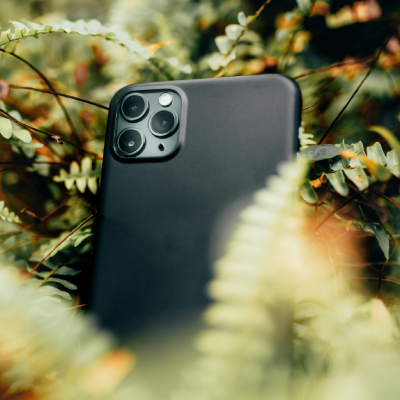 iPhone in the woods