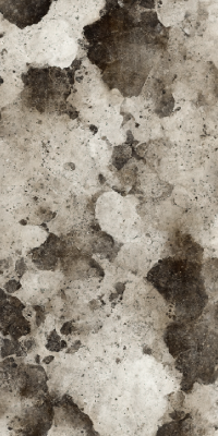 Mouldy wall