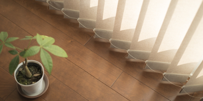 Photo of vertical blinds with a plant next to the window