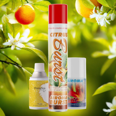 Air Fresheners in Citrus Surround
