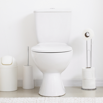 The Most Overlooked (and Germiest) Part of Your Toilet
