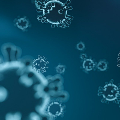 COVID-19 under a microscope