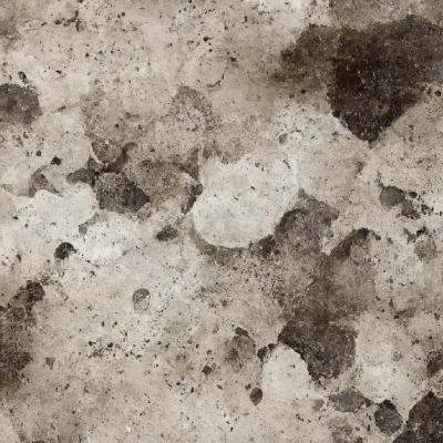 Close up of mould on a wall