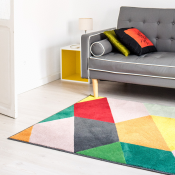 Shag rug