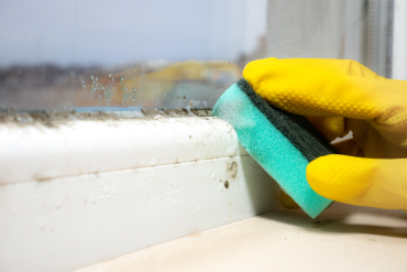 Black mould cleaning