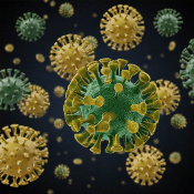COVID Virus