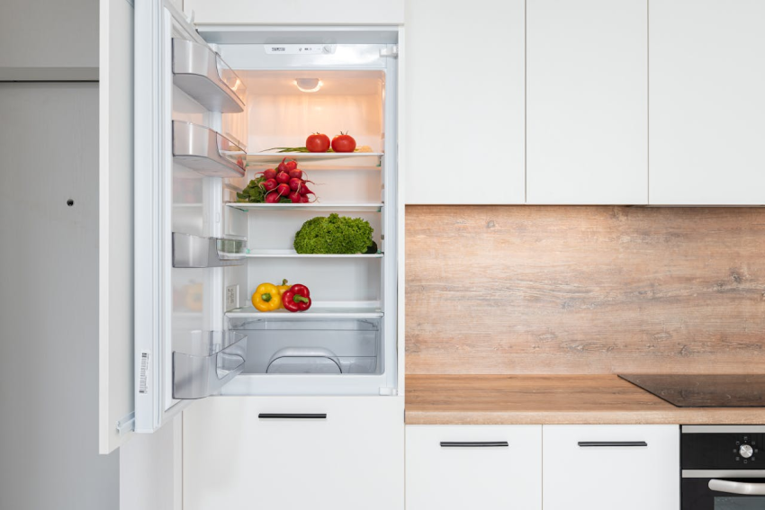 Tidy fridge in modern kitchen