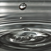 Drop of white vinegar