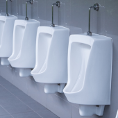 Row of urinals in mens toilets