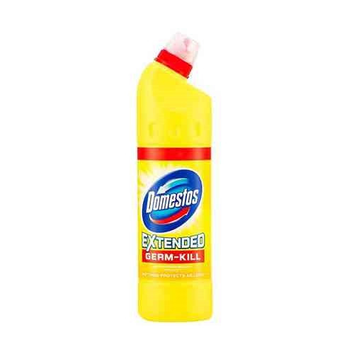 Domestos Bleach Extended Germ-Kill - Citrus Fresh - 750ml