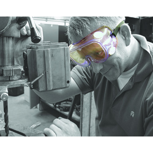 Safety goggles