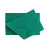 102449 Medium Duty Scourer