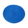Hair Net - Blue - Pack of 50