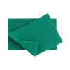 Large Green Scouring Pads