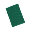 Small Green Scouring Pads