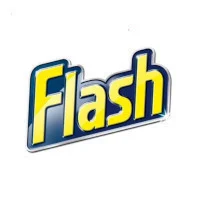 Flash logo