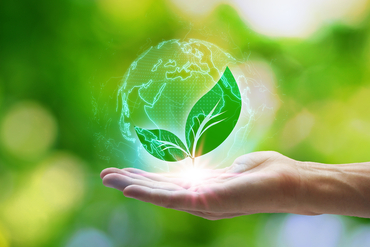 Eco-Friendly Products
